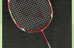 开云体育官方网站-马来西亚羽毛球队力克中国羽毛球队，陶菲克爆发神勇的简单介绍