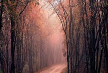 开云体育入口-湖人B队险胜中国男篮，锡安完成帽子戏法：一场扣人心弦的篮球盛宴