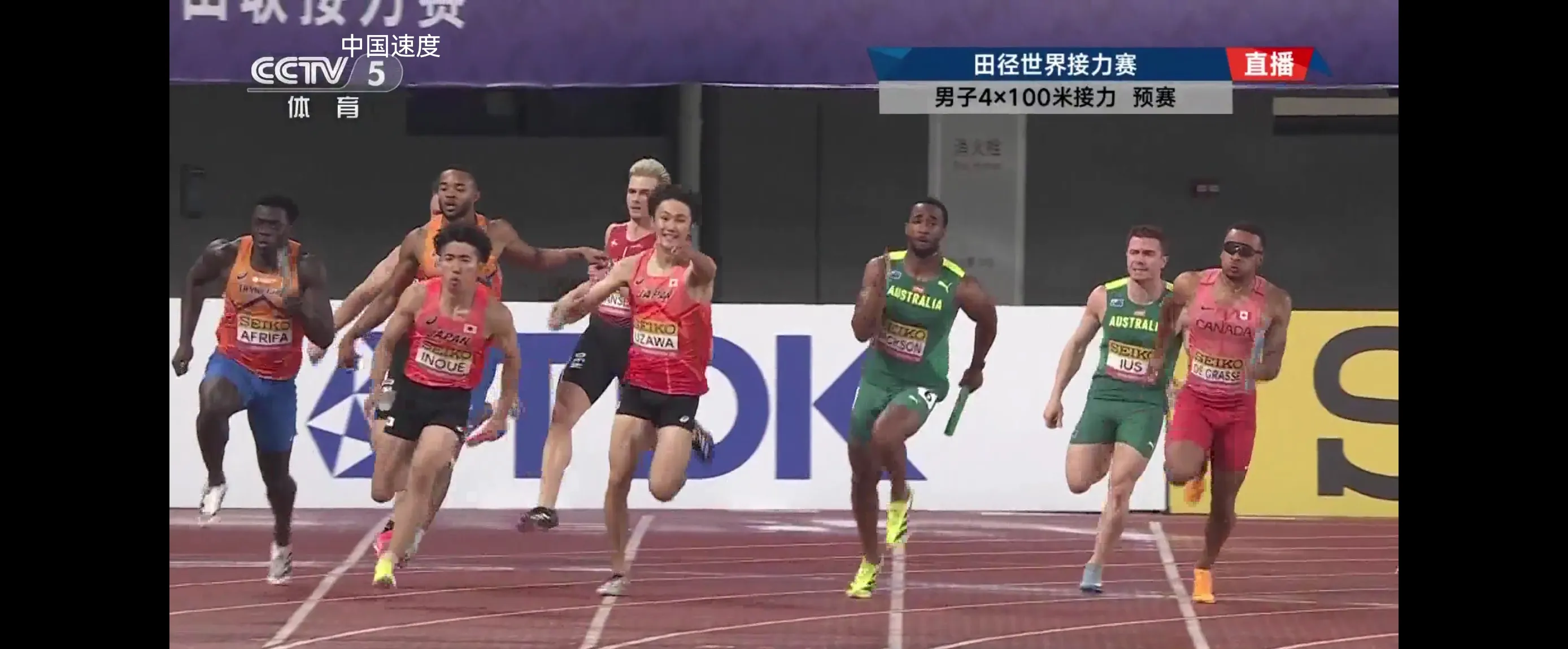 日本游泳选手奋勇搏杀，冲刺终点的简单介绍